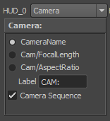 HUDCameraOption_en